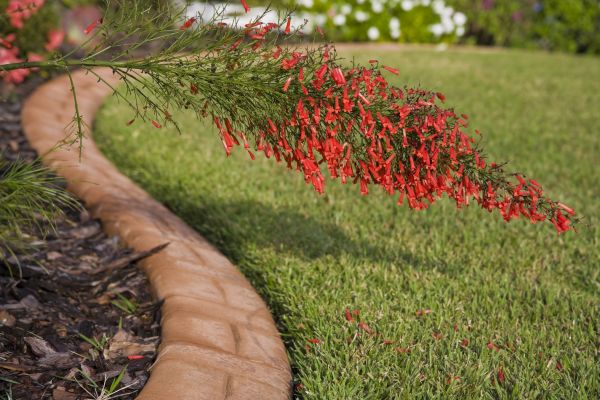 Brick Edging in Findlay